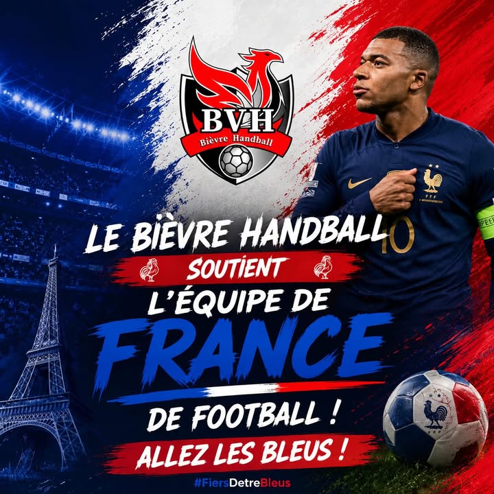 Bièvre Handball