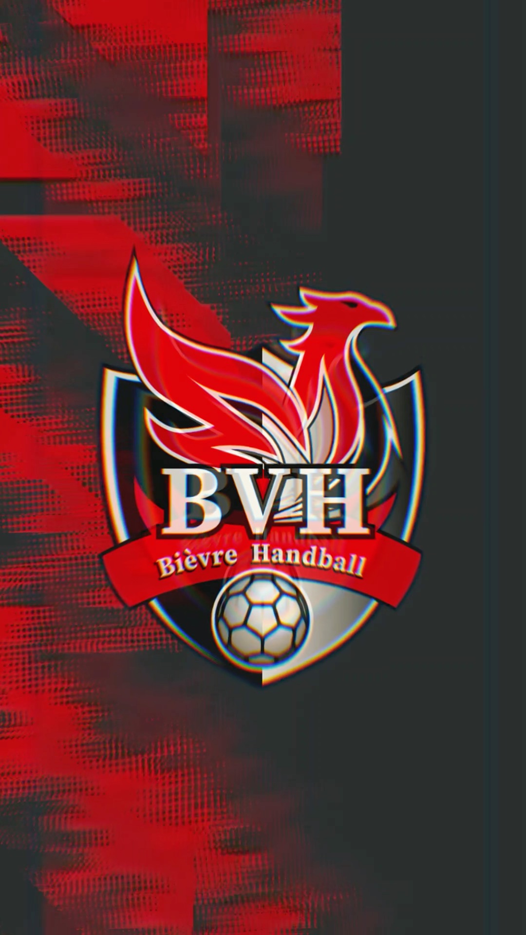 Bièvre Handball
